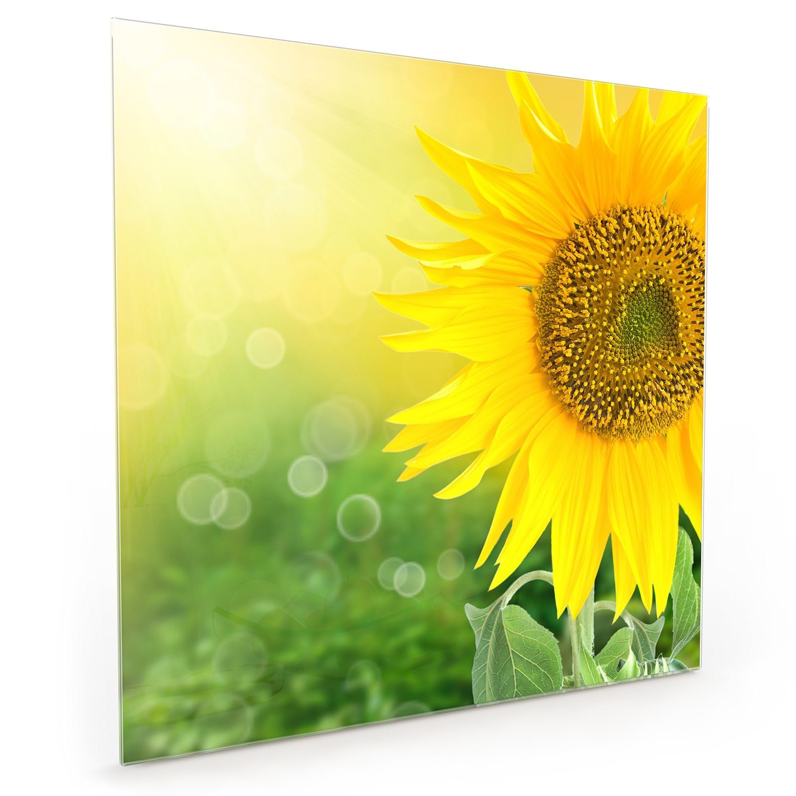 Primedeco Küchenrückwand Spritzschutz Glas Sonnenblume im Lichtg