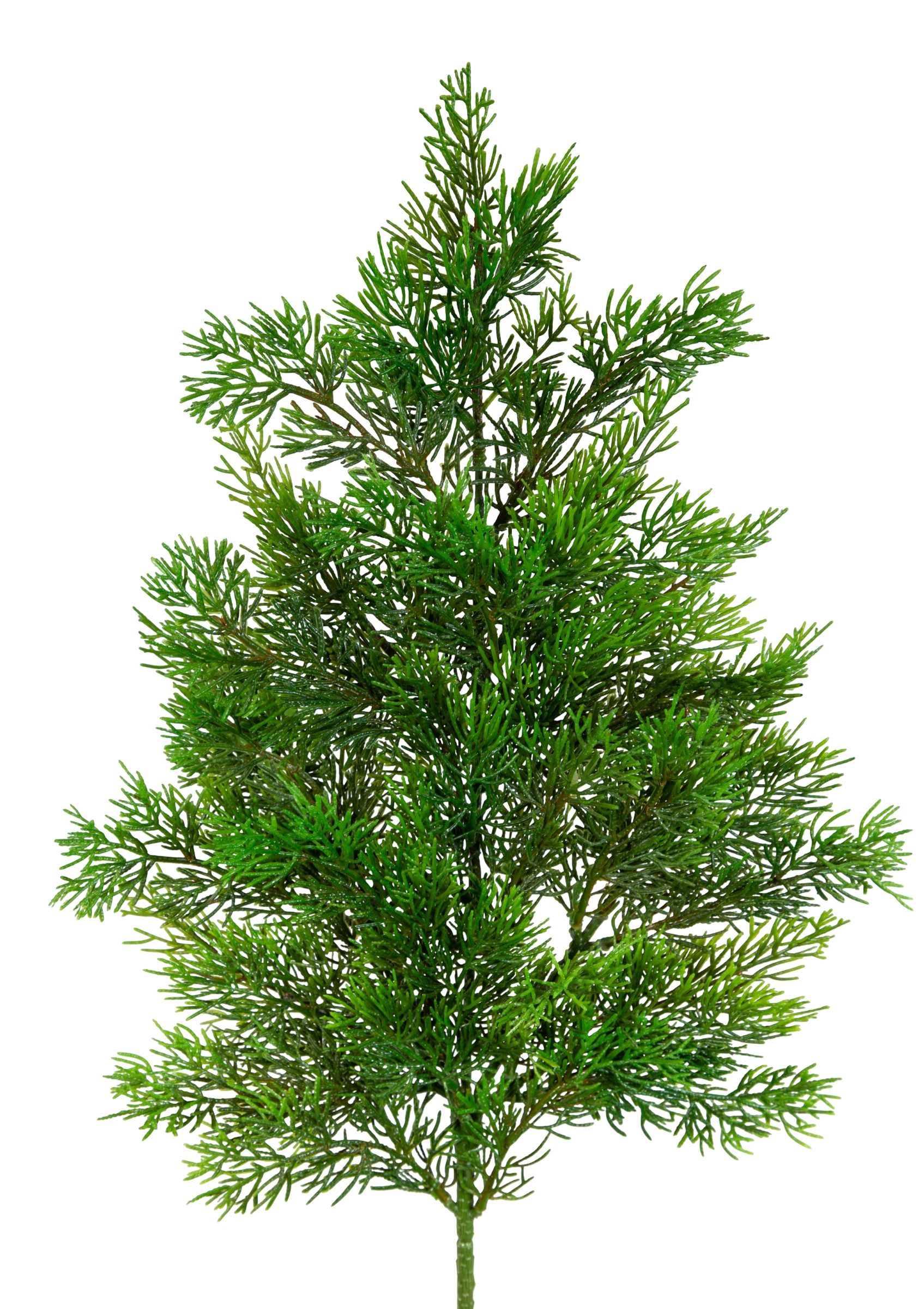 Kunstzweig Zedernzweig Nature ZJ Kunststoff 100% PE Spritzguss künstliche Zeder, Seidenblumen Roß, Länge: ca. 65cm