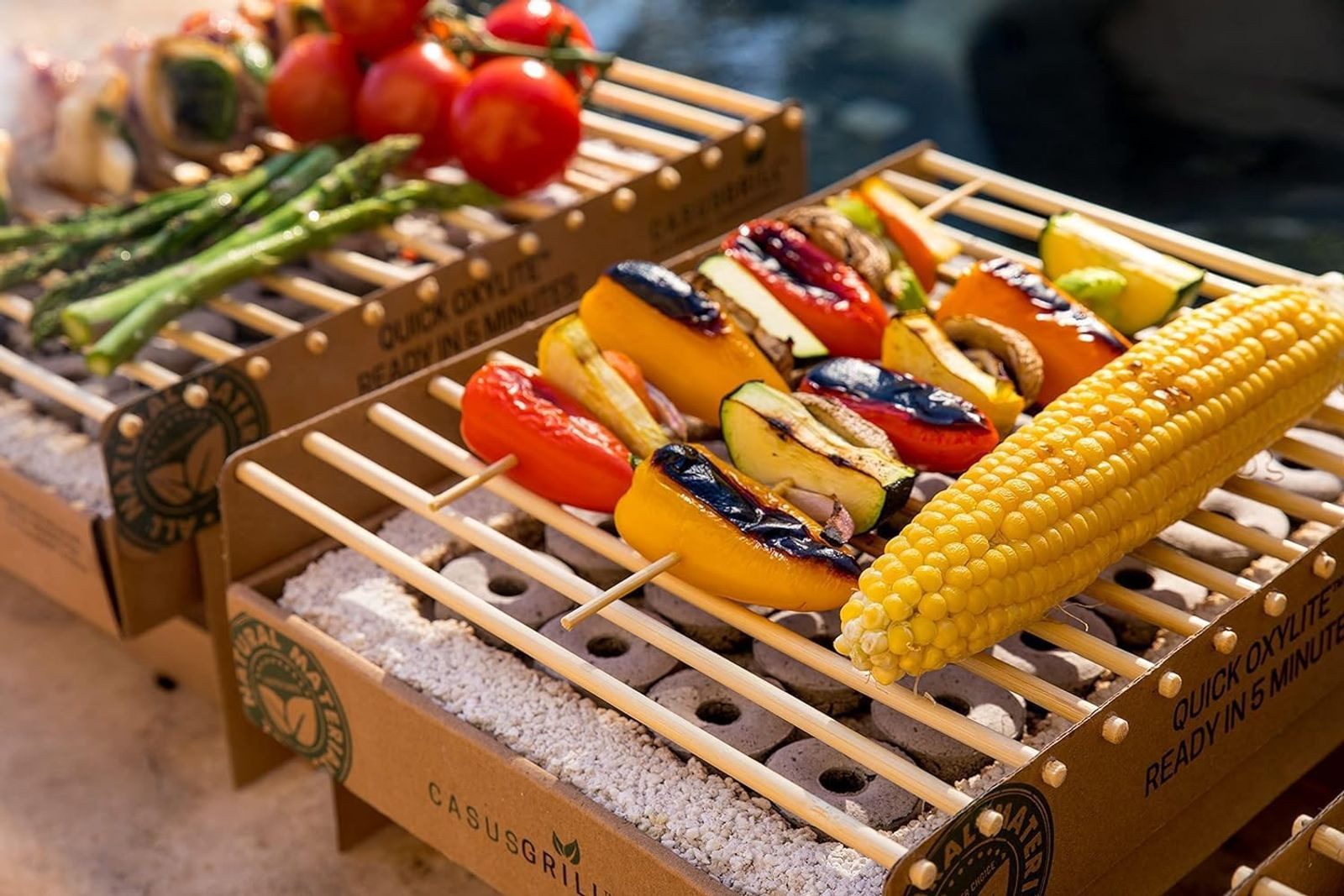 Casusgrill Holzkohlegrill Einweg-Grill biologisch abbaubar Mini-Grill ökologisch Einweggrill – Bild 2 von 5