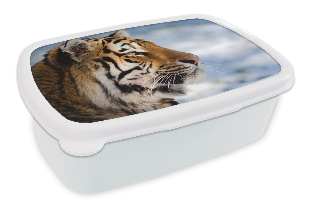 MuchoWow Lunchbox Tiger - Schnee - Natur, Kunststoff, (2-tlg), Brotbox für Kinder und Erwachsene, Brotdose, für Jungs und Mädchen weiß