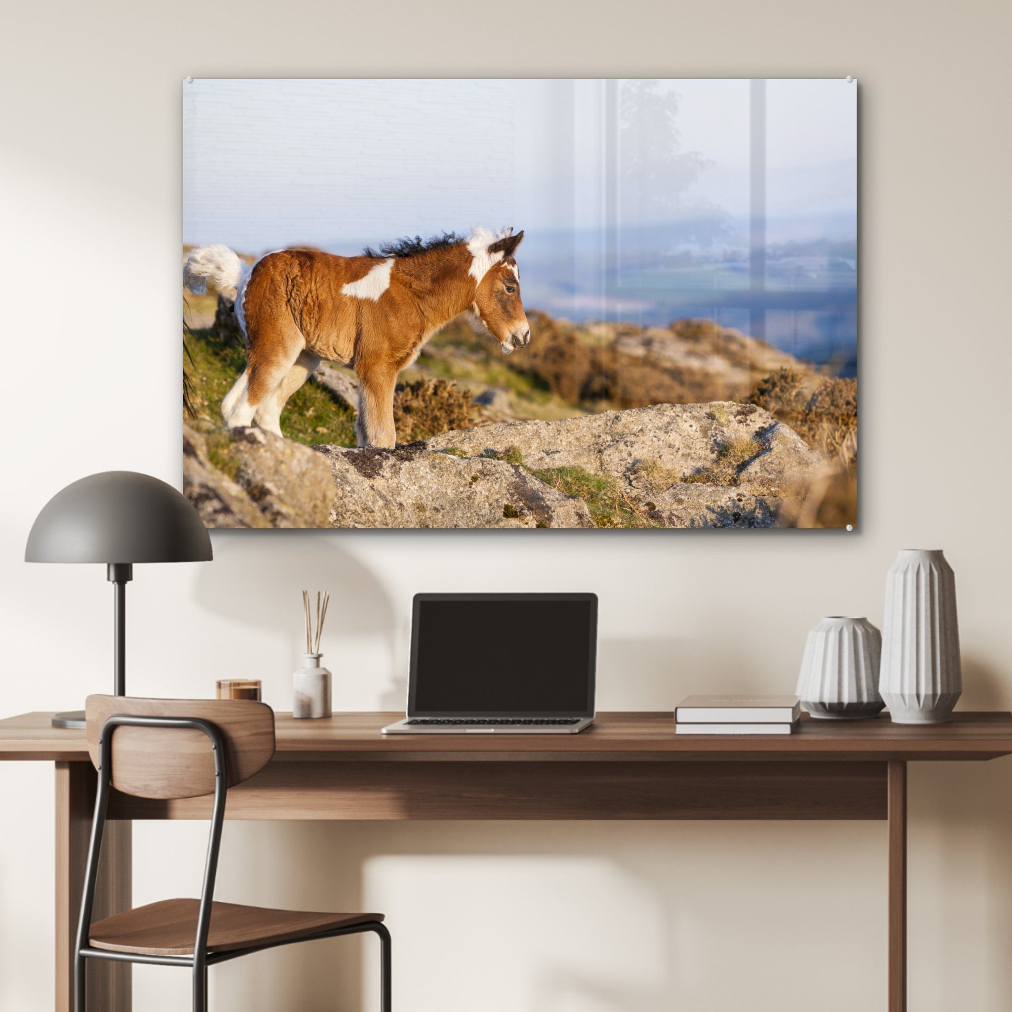 MuchoWow Acrylglasbild Pferde Acrylglasbilder Gebirge, - Wohnzimmer (1 - - Schlafzimmer St), Fohlen & Dartmoor