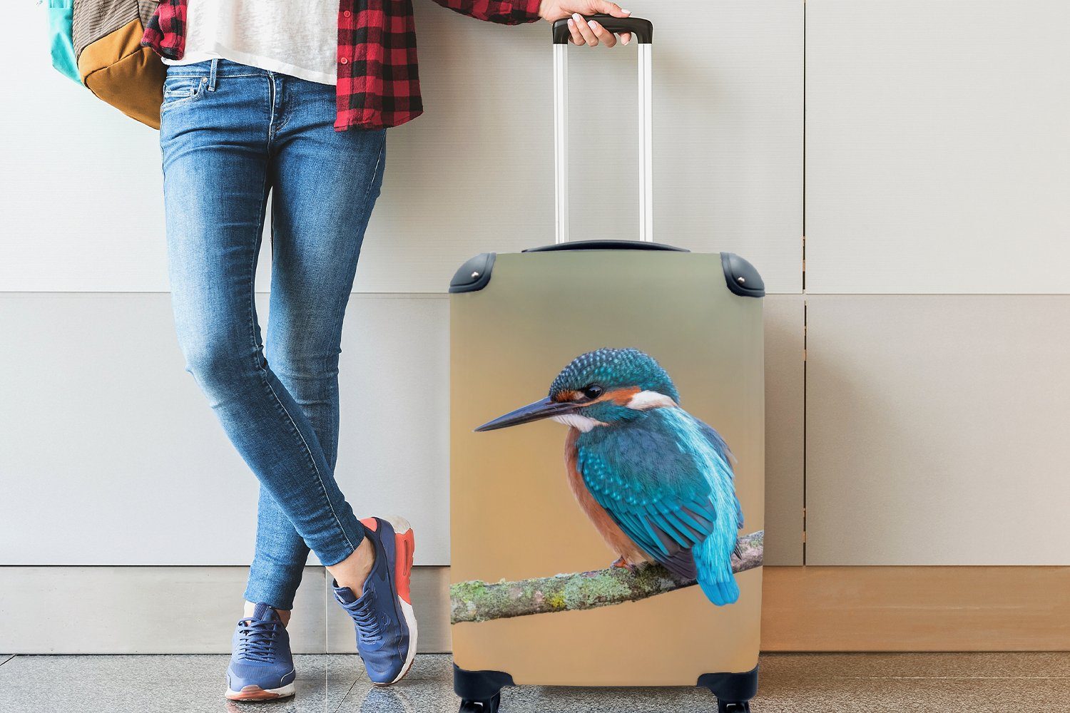 Ferien, Rollen, Reisetasche Trolley, Handgepäckkoffer mit MuchoWow Tiere - rollen, Handgepäck Vogel Reisekoffer für 4 - Eisvogel Zweig, -
