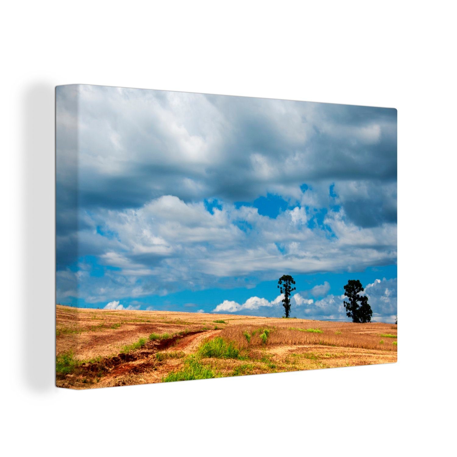 OneMillionCanvasses® Leinwandbild Der blaue Himmel über der bewaldeten Paranakiefer, (1 St), Wandbild Leinwandbilder, Aufhängefertig, Wanddeko, 30x20 cm