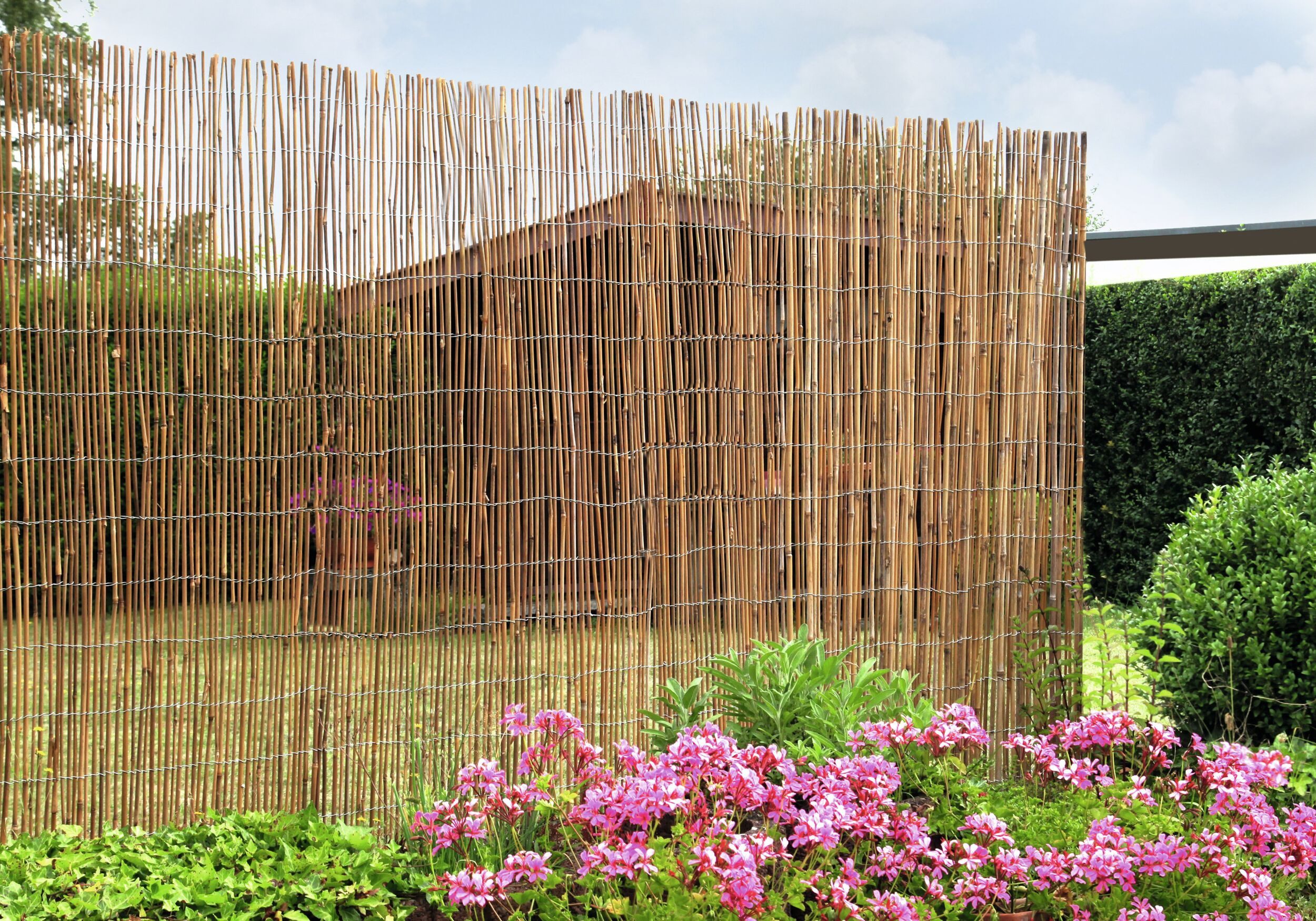 Floraworld Sichtschutzzaunmatten, Sichtschutz Bambus 300 x 90 cm comfort extra stark