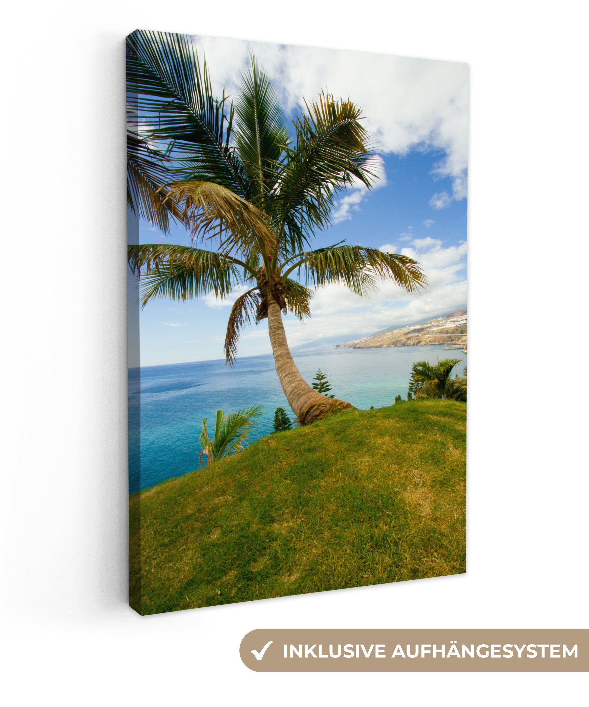 OneMillionCanvasses® Leinwandbild Eine Palme an der Küste von Teneriffa, (1 St), Leinwandbild fertig bespannt inkl. Zackenaufhänger, Gemälde, 20x30 cm