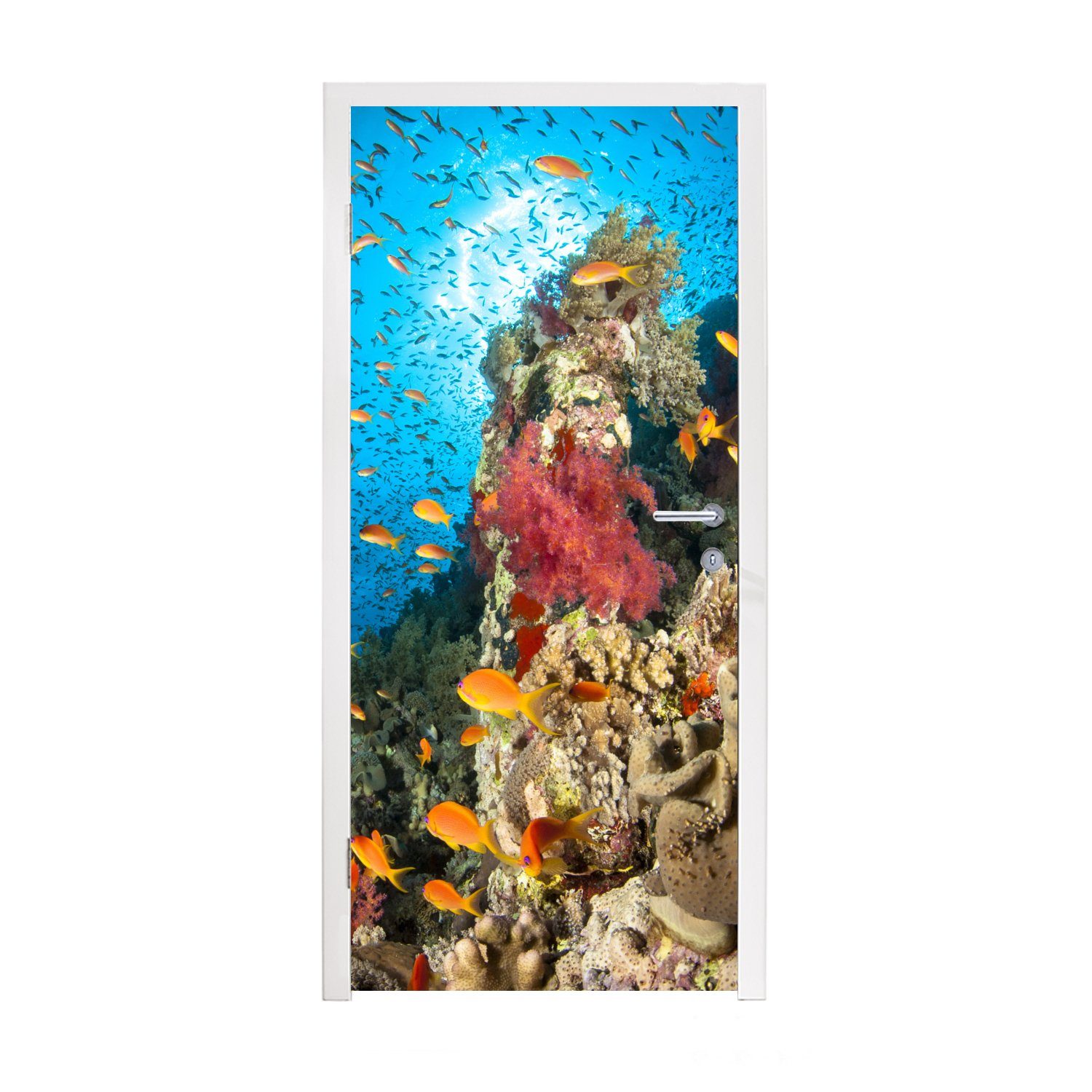 MuchoWow Türtapete Koralle mit Fischen, Matt, bedruckt, (1 St), Fototapete für Tür, Türaufkleber, 75x205 cm