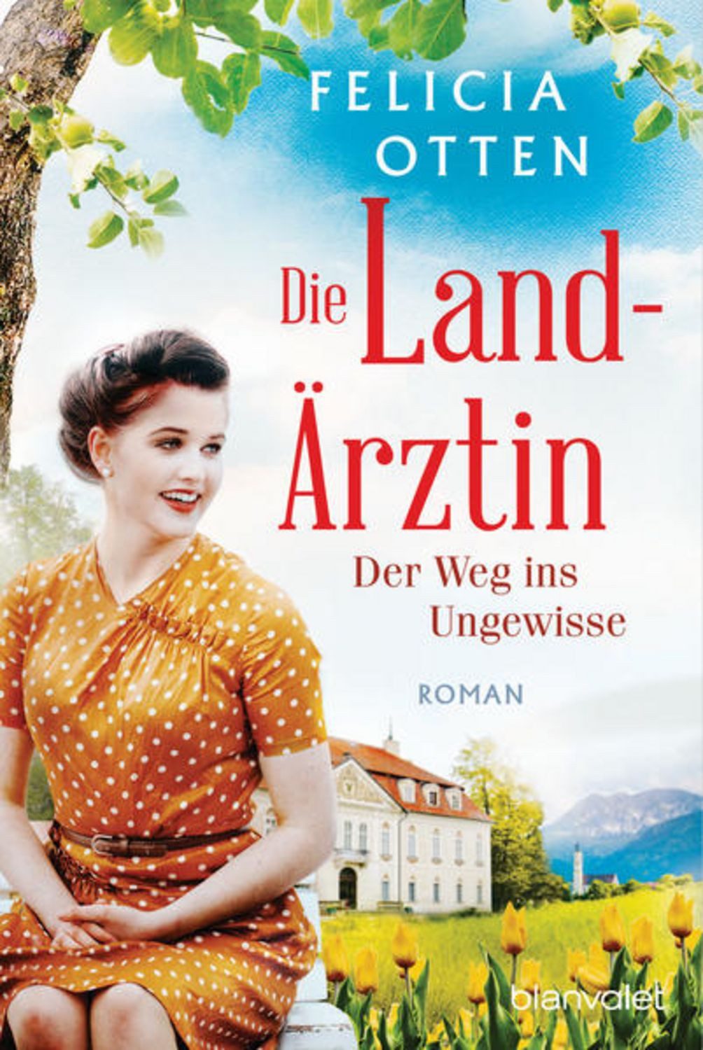 Die Landärztin - Der Weg ins Ungewisse / Felicia Otten