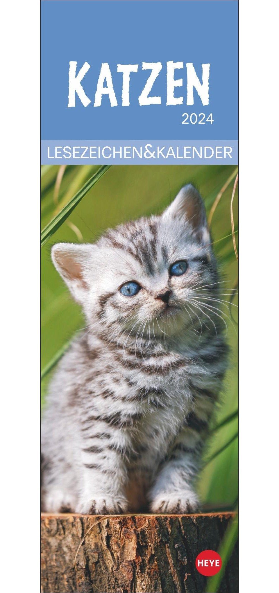 Athesia Kalenderverlag Tischkalender Katzen Lesezeichen & Kalender 2024.  Süße Kätzchen in einem Mini-Kal...