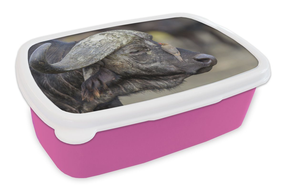 MuchoWow Lunchbox Büffel - Vogel - Tiere, Kunststoff, (2-tlg), Brotbox für Erwachsene, Brotdose Kinder, Snackbox, Mädchen, Kunststoff rosa