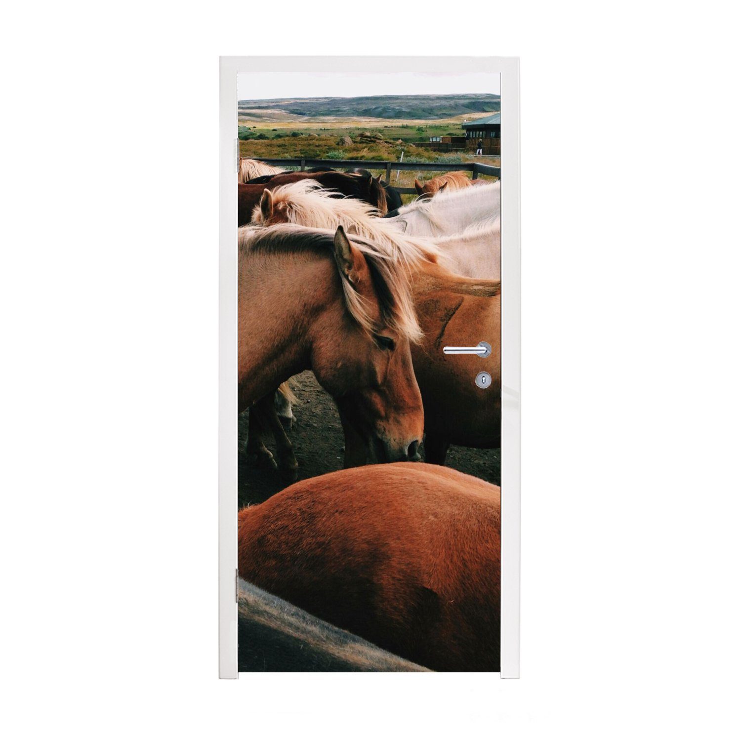 Spiel, Tiere Türtapete - Tür, MuchoWow Pferde cm - Matt, für Fototapete bedruckt, St), Türaufkleber, 75x205 (1