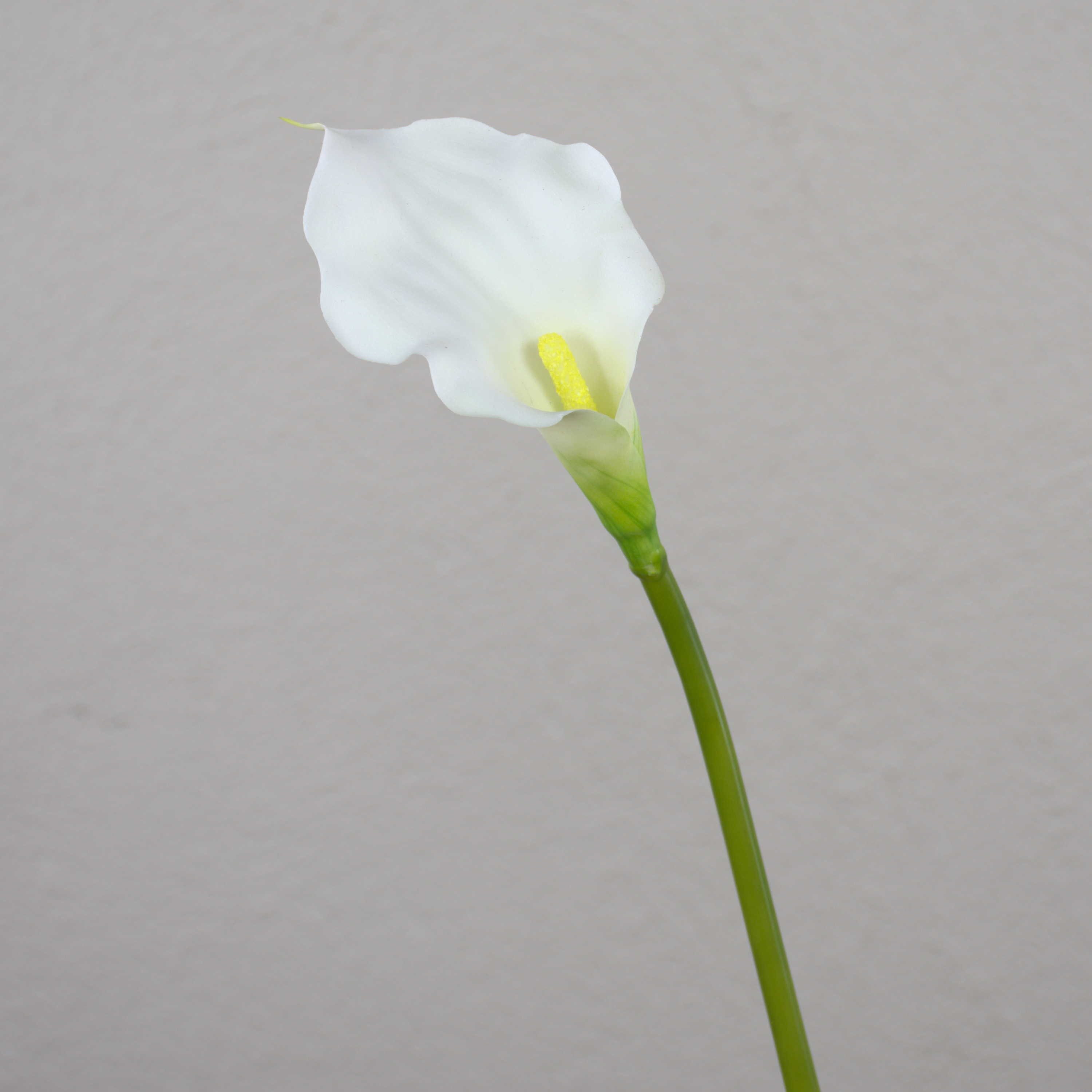 Kunstblume Künstliche Calla, weiß, natürlich anfühlend, 58cm, 7x11cm Calla, artplants, Höhe 55.0 cm