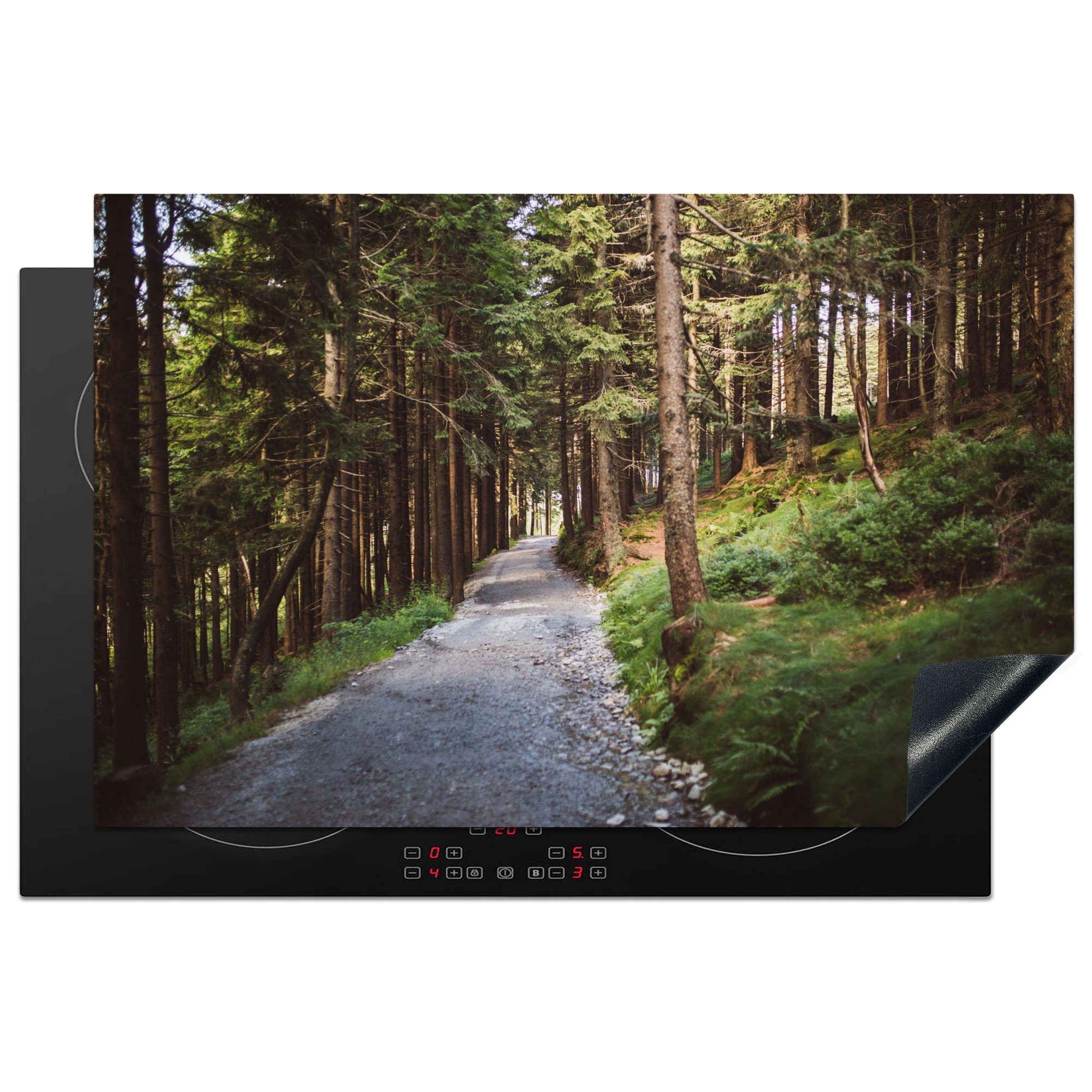MuchoWow Herdblende-/Abdeckplatte Waldweg im Nationalpark Bayerischer Wald, Vinyl, (1 tlg), 81x52 cm, Induktionskochfeld Schutz für die küche, Ceranfeldabdeckung