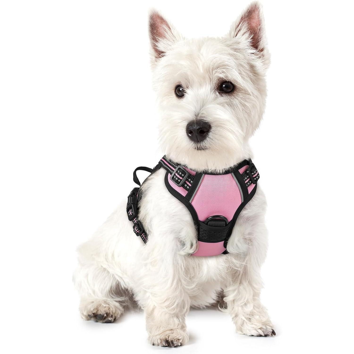 LuxusKollektion Hunde-Sicherheitsgeschirr Hundegeschirr Kleine Hunde No Pull Reflexstreifen Rosa XS 1er Pack