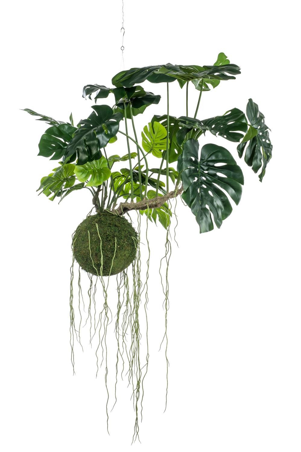 Künstliche Zimmerpflanze Deko Philodendron Monstera Deliciosa Yunus, Moosball, 80 cm Philodendron (Philodendron monstera deliciosa), artplants, Höhe 80.0 cm