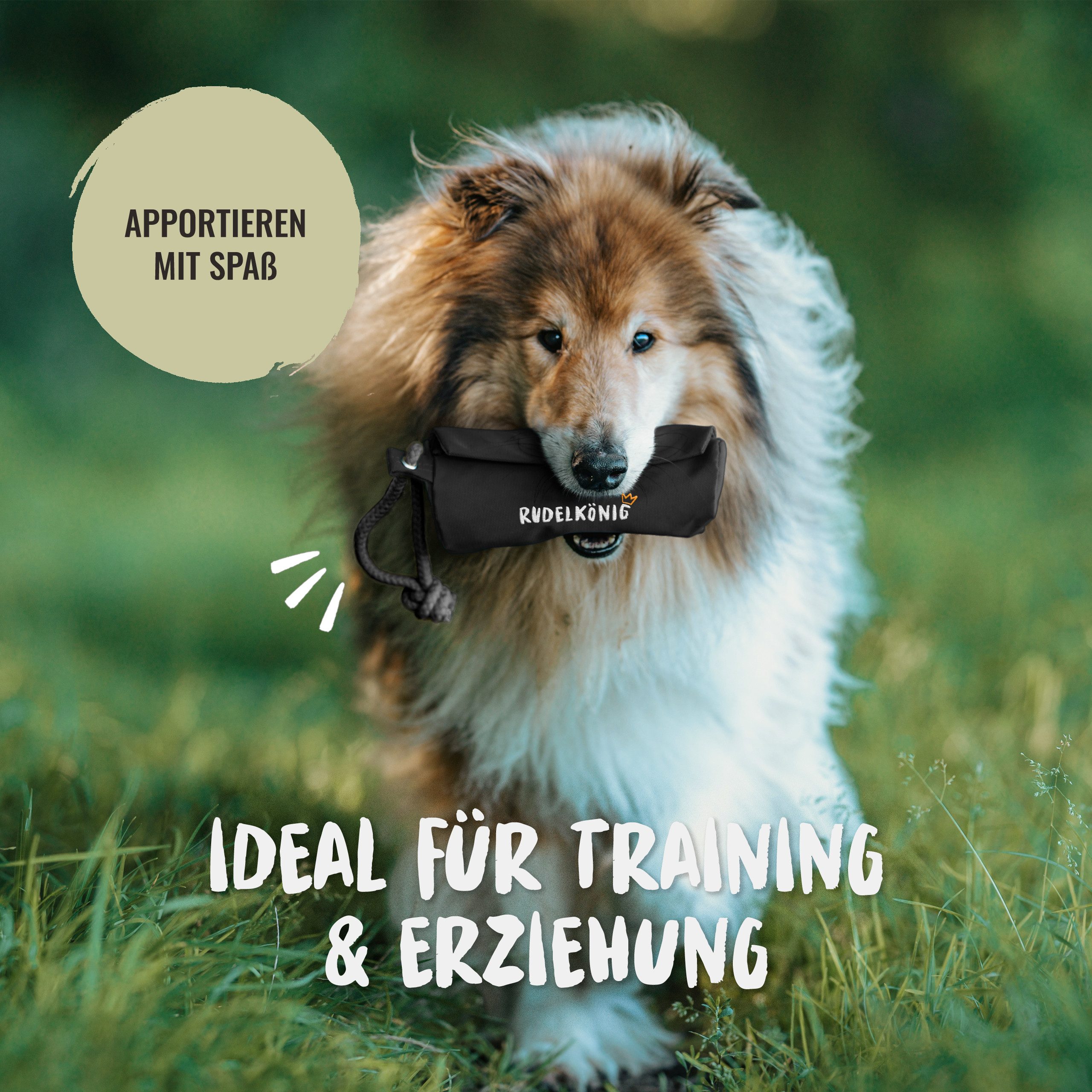 Rudelkönig Tier-Intelligenzspielzeug Futterbeutel für Hunde, Apportierbeute günstig online kaufen