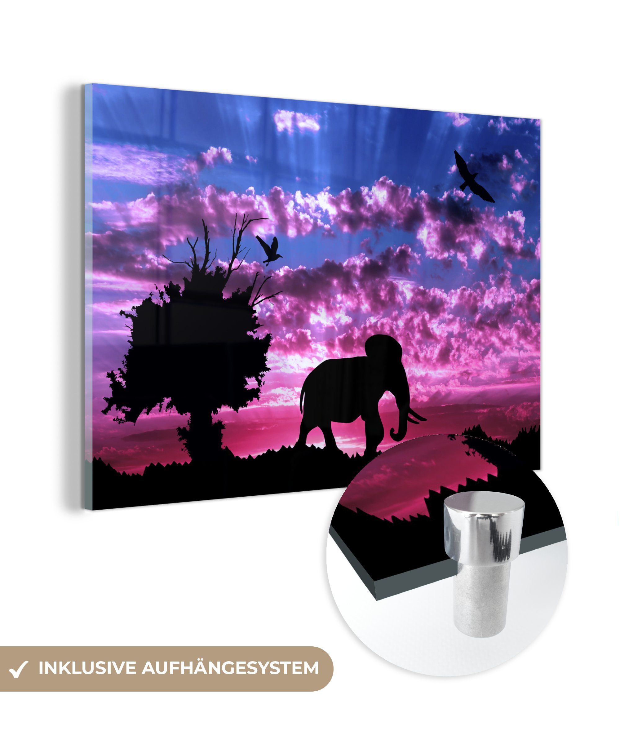 MuchoWow Acrylglasbild Elefant Foto auf Glas Vogel - Wandbild Glas Baum, Glasbilder (1 St), - - - Wanddekoration - Bilder auf