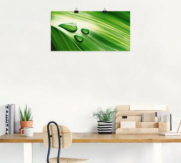 Artland Poster Nahaufnahme eines grünen Pflanzenblattes, Blätter (1 St), als Leinwandbild, Wandaufkleber oder Poster in versch. Größen