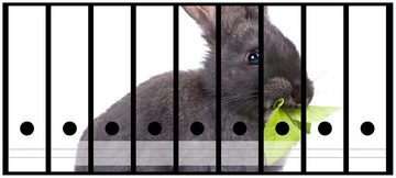 Wallario Etiketten Süßes Kaninchen mit Grünzeug beim Futtern, Ordnerrücken-Sticker in verschiedenen Ausführungen