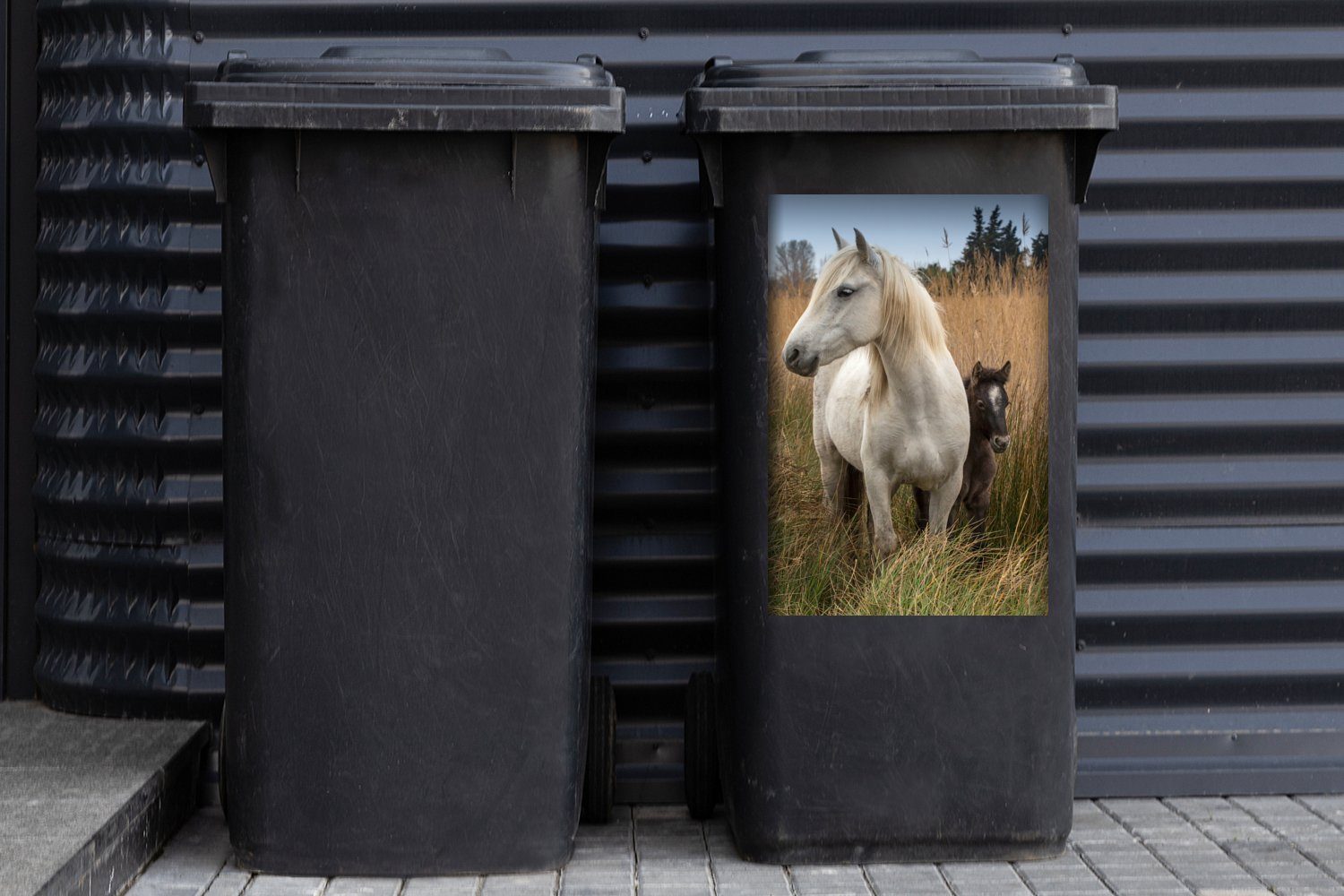 MuchoWow Wandsticker - Abfalbehälter - Mülltonne, St), Fohlen Container, (1 Mülleimer-aufkleber, Sticker, Pferde Weiß