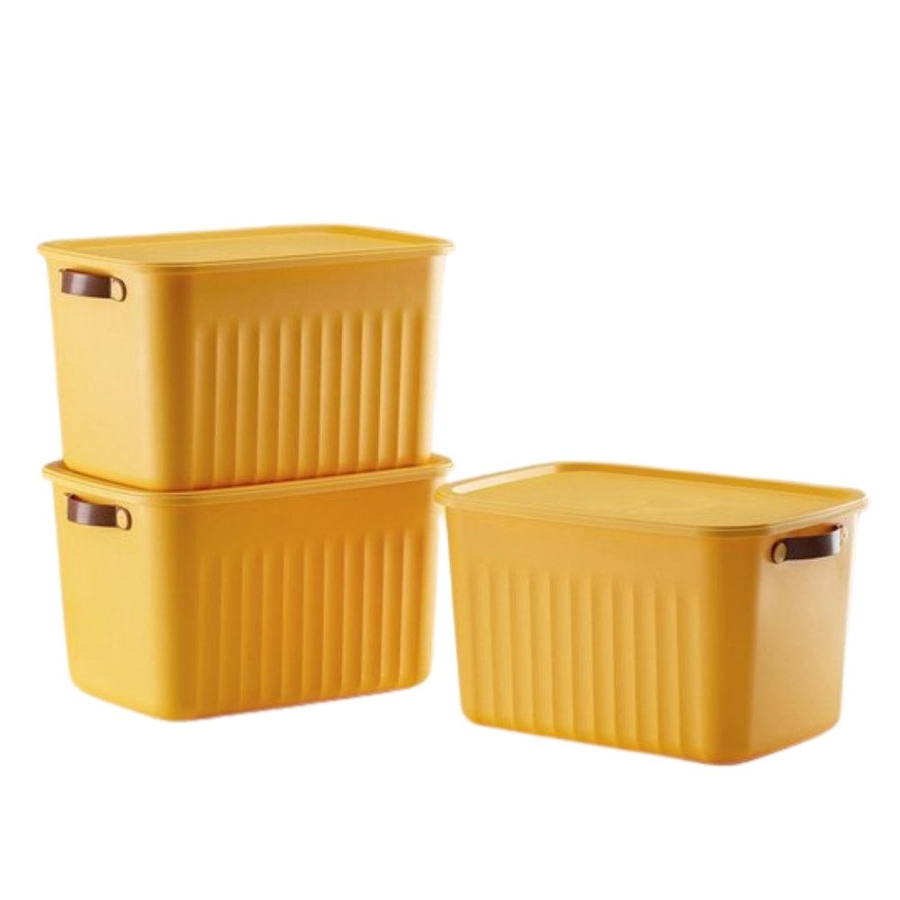 Aufbewahrungsbox mit Deckel, 15L oder 10L BPA-freie Kunststoff, nestbar und stapelbar