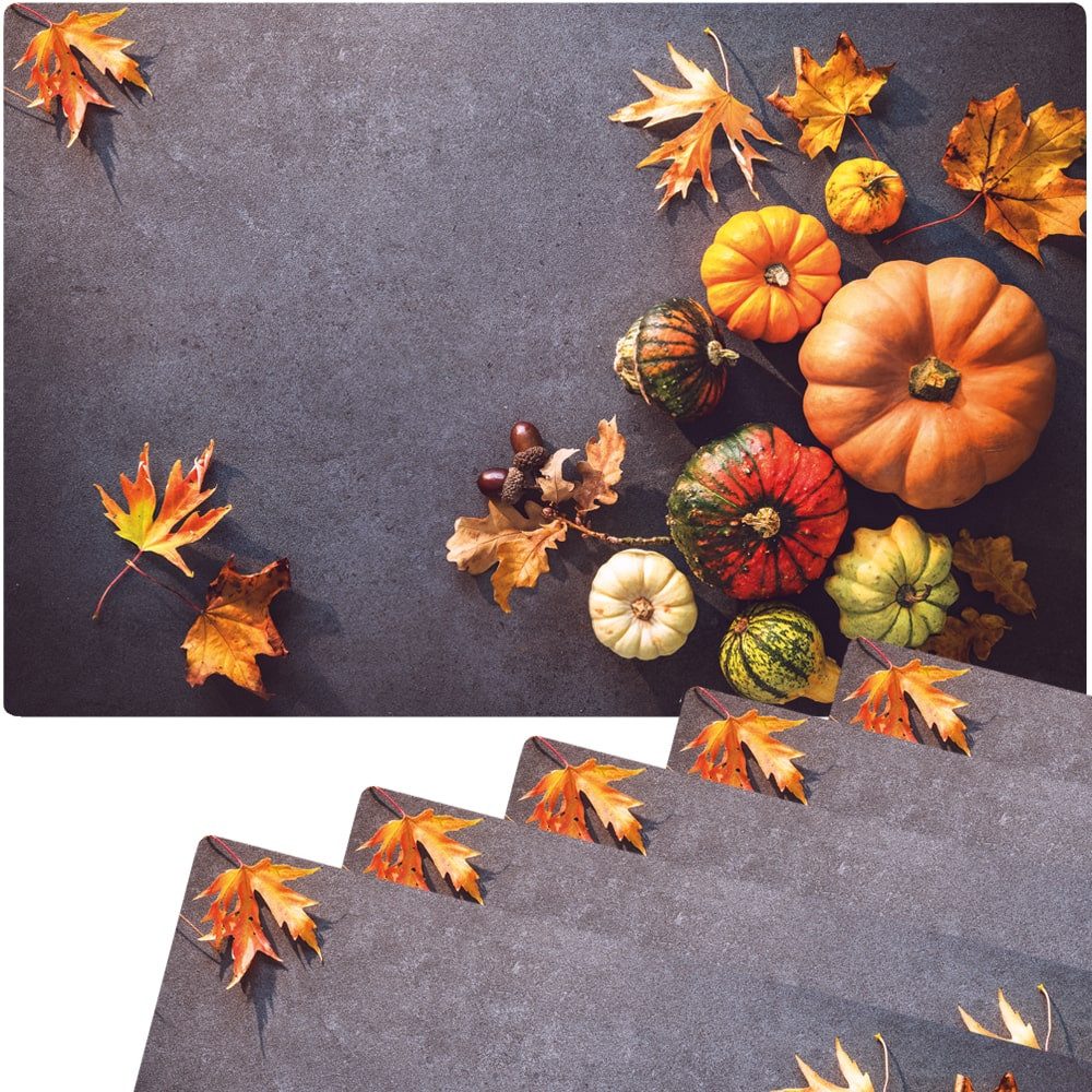 matches21 HOME & HOBBY Platzset Abwaschbare Tischsets 6er Set Herbst-Laub & Kürbisse, (6-St), Platzsets als Tisch-Untersetzer und Tisch-Deko für Esstisch Teller