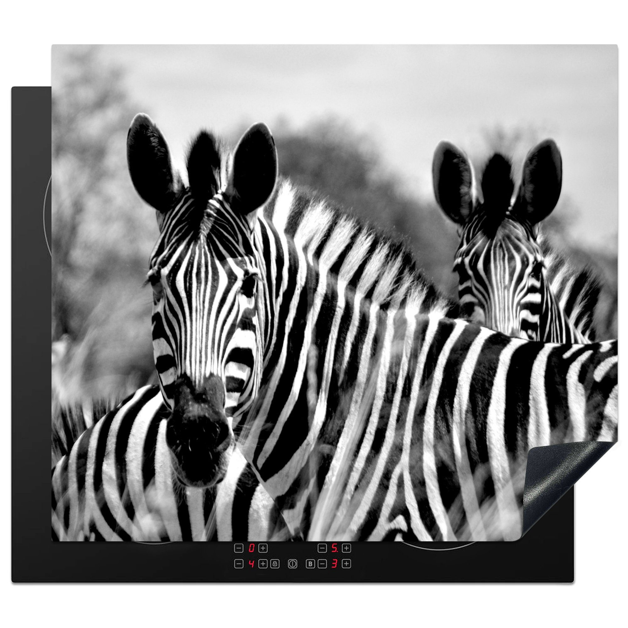 MuchoWow Herdblende-/Abdeckplatte Zebra - Schwarz - Weiß - Tiere, Vinyl, (1 tlg), 58x51 cm, Küchen Dekoration für Induktionsherd, Induktionskochfeld