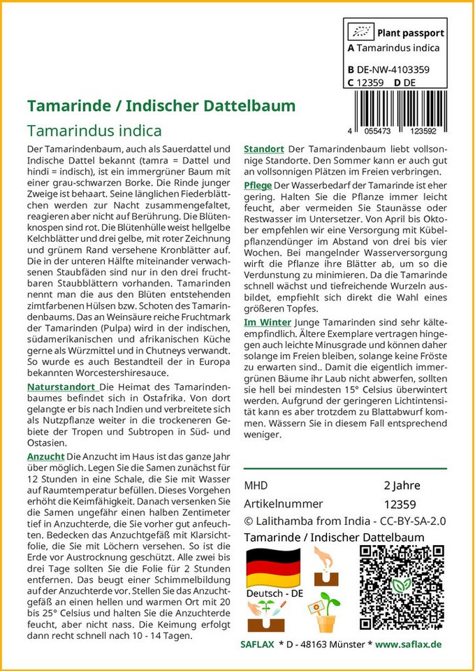 Thumbnail - SAFLAX Blumensamen SAFLAX - Samen - Tamarinde / Indischer Dattelbaum