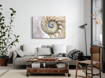 Sinus Art Leinwandbild 120x80cm Wandbild auf Leinwand Fotokunst Spirale Schneckenhaus Muschel, (1 St)