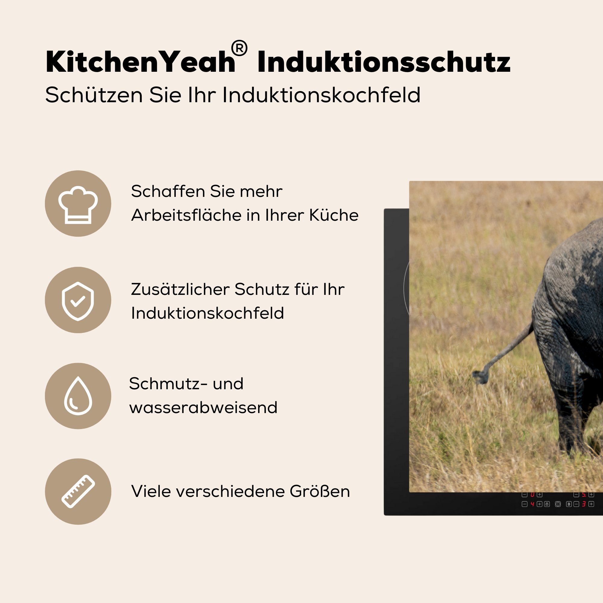 MuchoWow Herdblende-/Abdeckplatte Elefant - - für Tiere Natur, Ceranfeldabdeckung, cm, - Arbeitsplatte (1 83x51 tlg), Vinyl, küche Gras