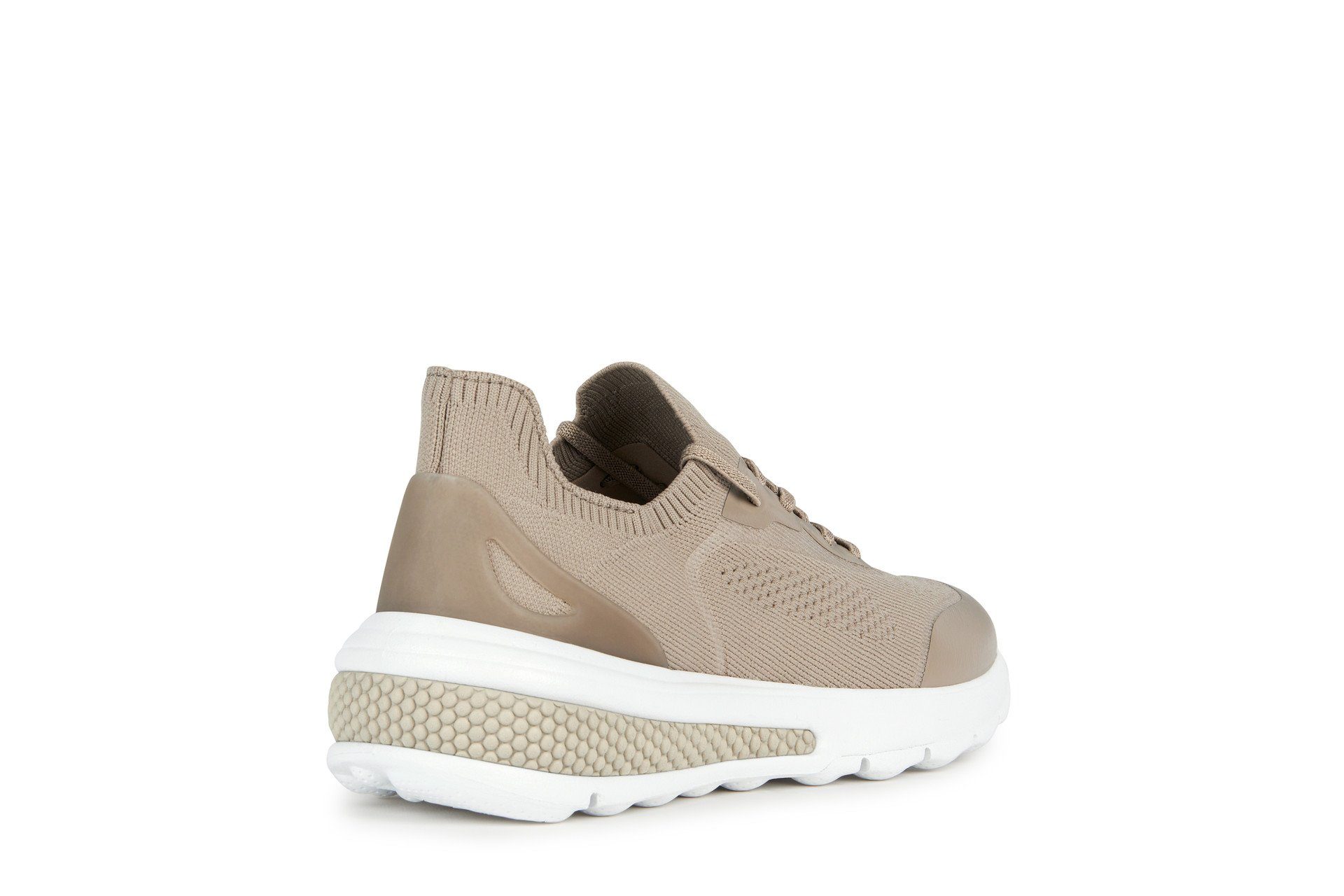 Geox Sneaker