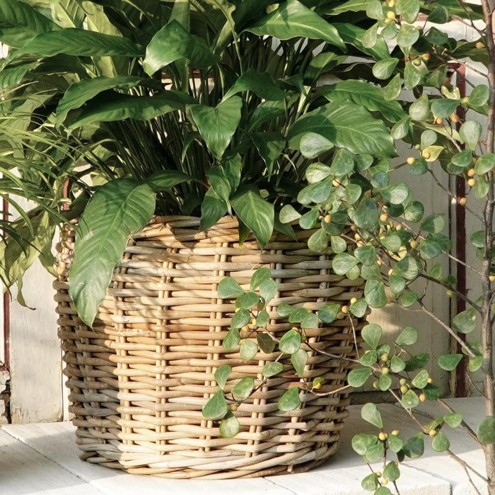 LebensWohnArt Dekokorb Natur Rattankorb GINI Natural Grey ca.32x28cm Pflanz günstig online kaufen