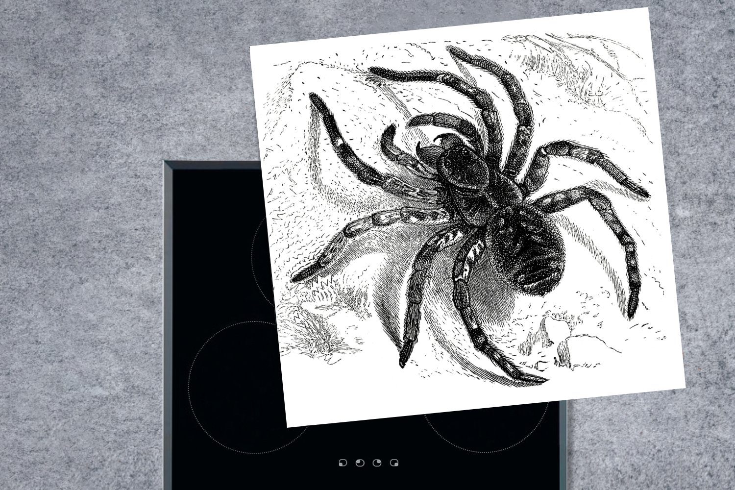 Vinyl, Arbeitsplatte Vogelspinne - MuchoWow cm, für Spinnen Ceranfeldabdeckung, Tiere, - tlg), küche (1 Herdblende-/Abdeckplatte 78x78