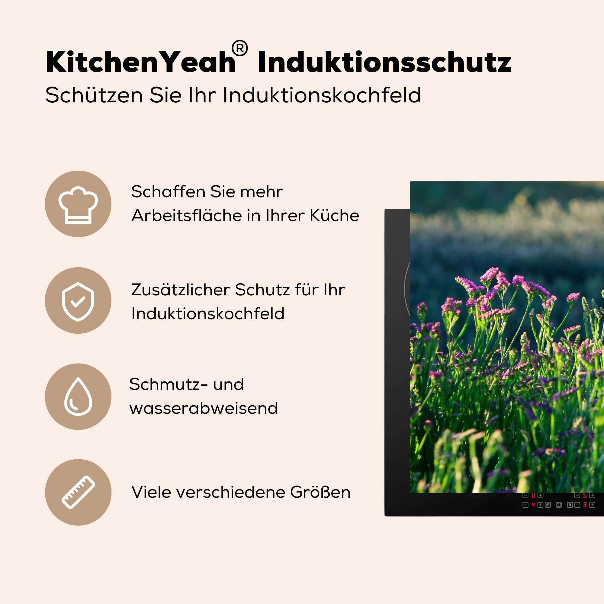 Schutz tlg), der 81x52 Induktionskochfeld MuchoWow Statice-Blume Natur, für Ceranfeldabdeckung küche, Vinyl, (1 in Die Herdblende-/Abdeckplatte die cm,