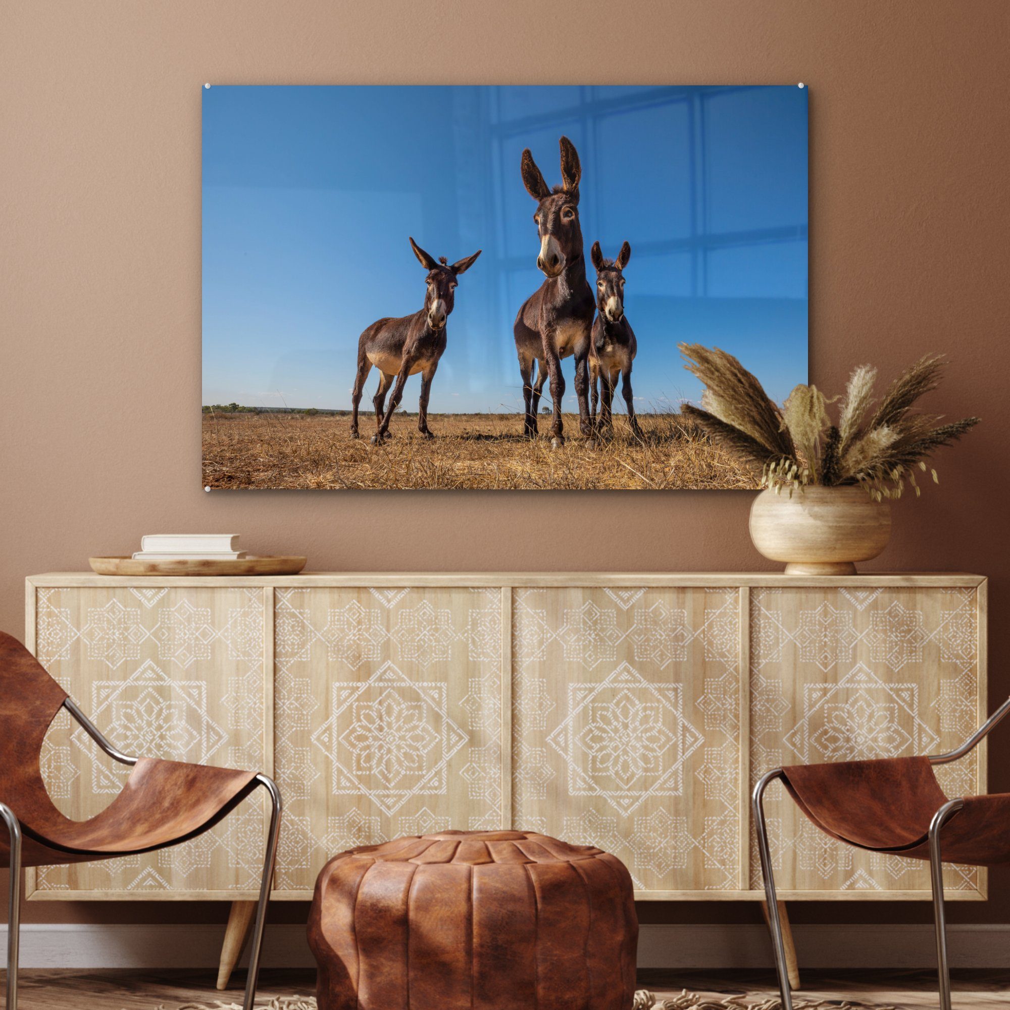 in Drei Landschaft, (1 einer St), MuchoWow Schlafzimmer Acrylglasbilder Wohnzimmer & Acrylglasbild Esel