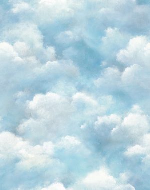 Newroom Vliestapete, [ 2,7 x 2,12m ] großzügiges Motiv - kein wiederkehrendes Muster - nahtlos große Flächen möglich - Fototapete Wandbild Himmel Wolken Made in Germany