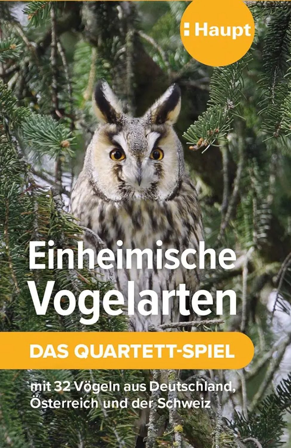 Haupt Spiel Einheimische Vogelarten - das Quartett-Spiel