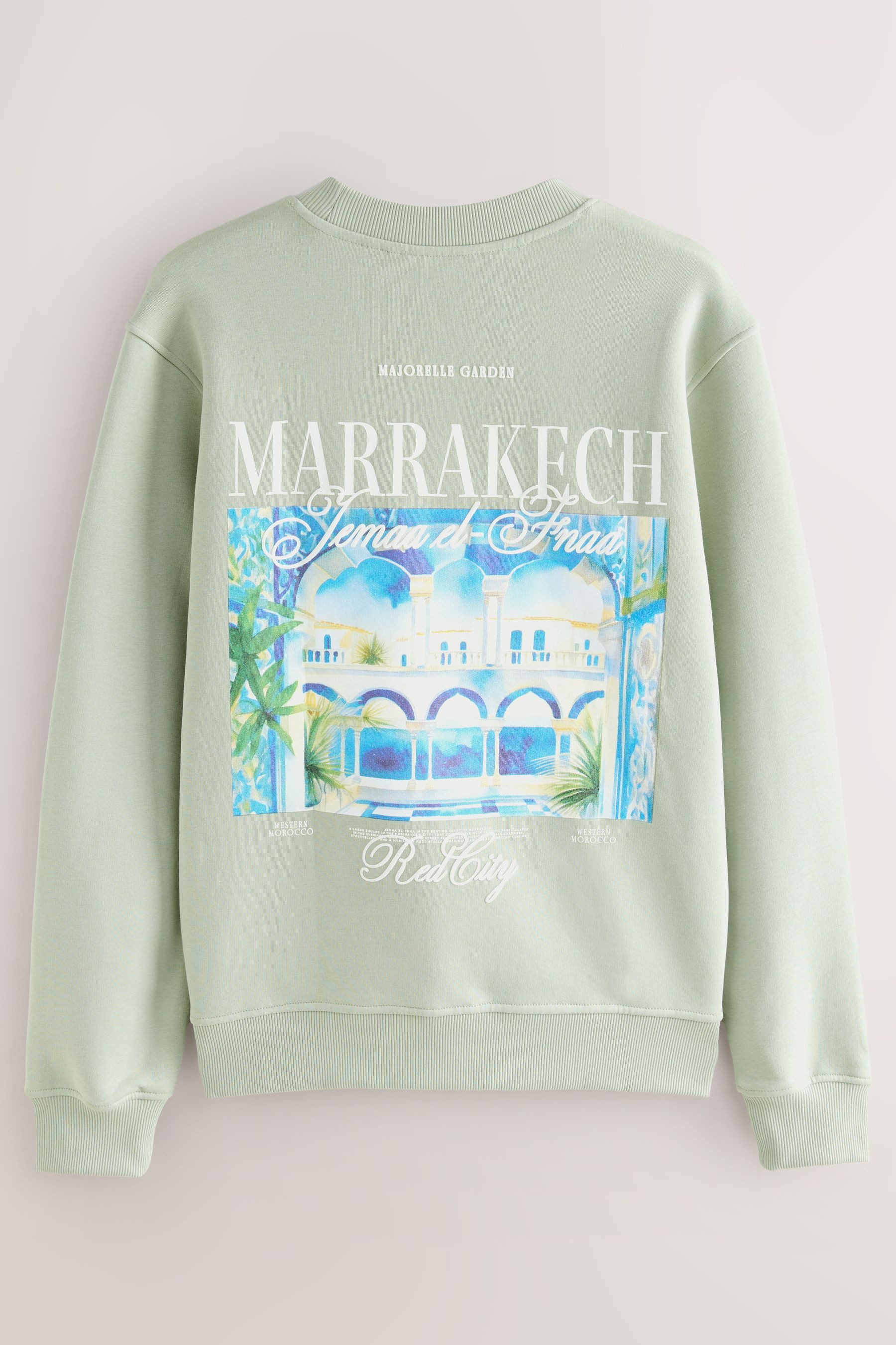 Next Sweater Grafik-Kapuzensweatshirt (1-tlg) günstig online kaufen