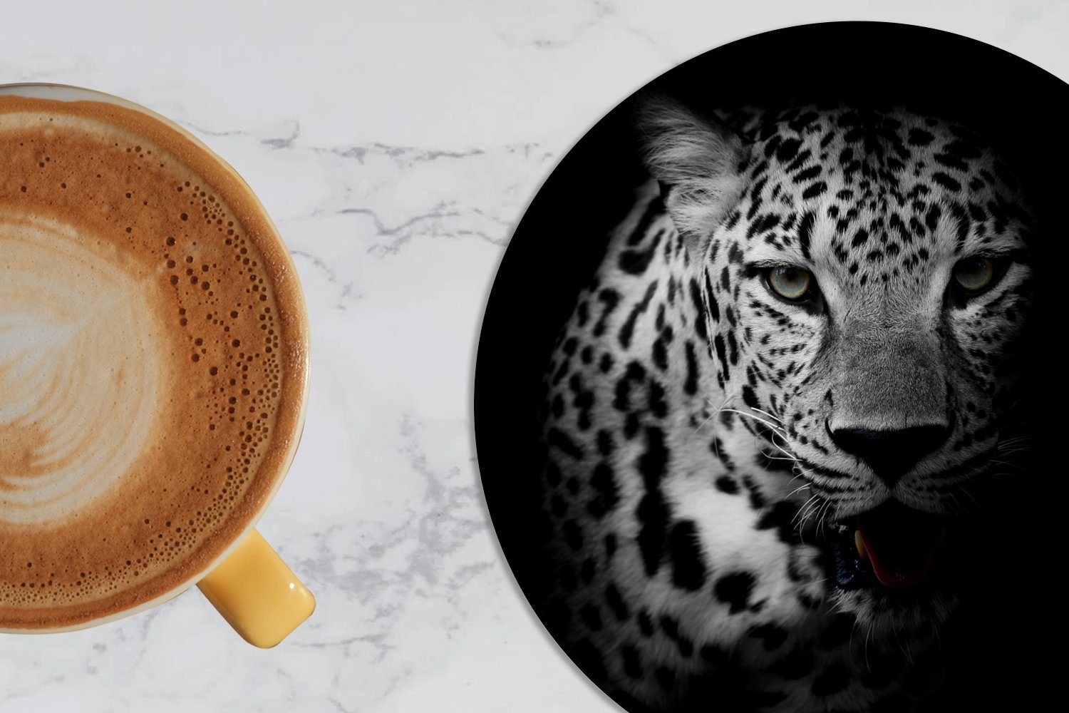 Glasuntersetzer Tasse, - Weiß - - Zubehör 6-tlg., Gläser, Becher Tiere Porträt, Getränkeuntersetzer, - Tassenuntersetzer, Schwarz Panther für MuchoWow Korkuntersetzer,