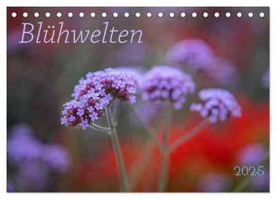 CALVENDO Wandkalender Blühwelten (Tischkalender 2025 DIN A5 quer), CALVENDO Monatskalender