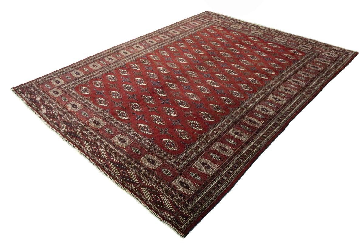 Trading, 6 Höhe: Handgeknüpfter 291x391 mm rechteckig, Nain Orientteppich Orientteppich / Belutsch Perserteppich,