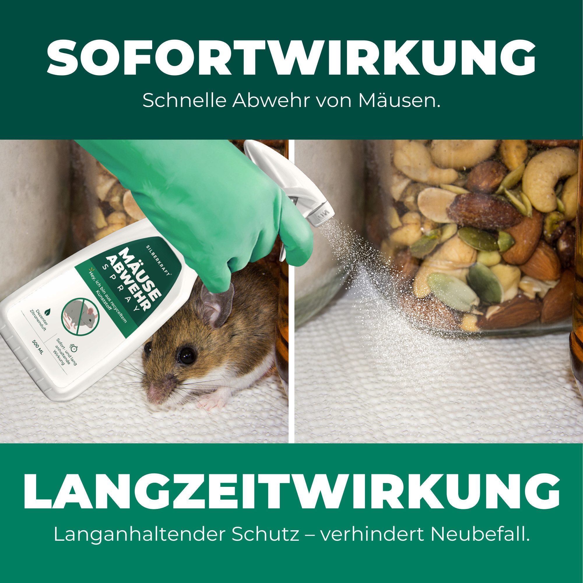 Silberkraft Vergrämungsmittel Silberkraft Mäuseabwehr, Repellent gegen Mäusebefall, 500 ml, 1-St., Mäuseabwehr für Haus & Garten, wirksame Alternative zu Gift & Fallen