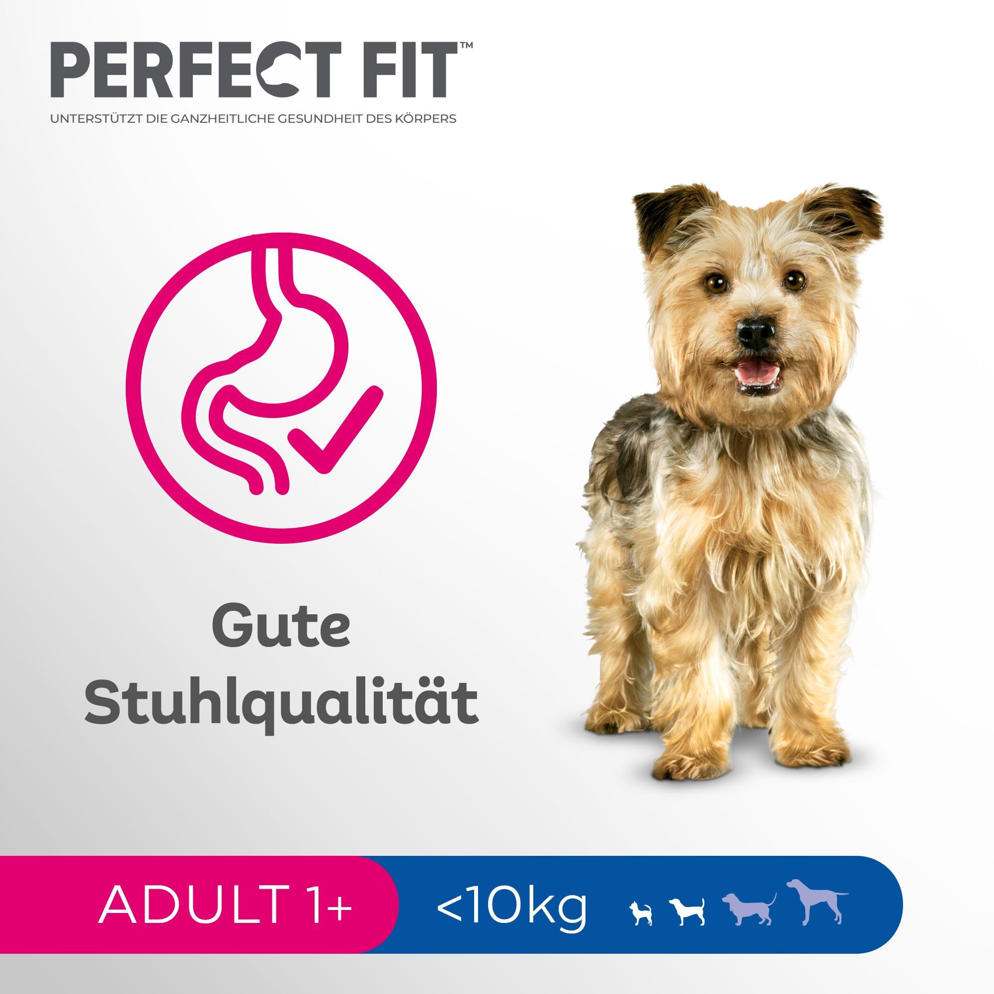 Perfect Fit PERFECT FIT™ Hundefutter Trockenfutter Adult <10kg Huhn 2 x 6kg, Trockenfutter für: Hunde