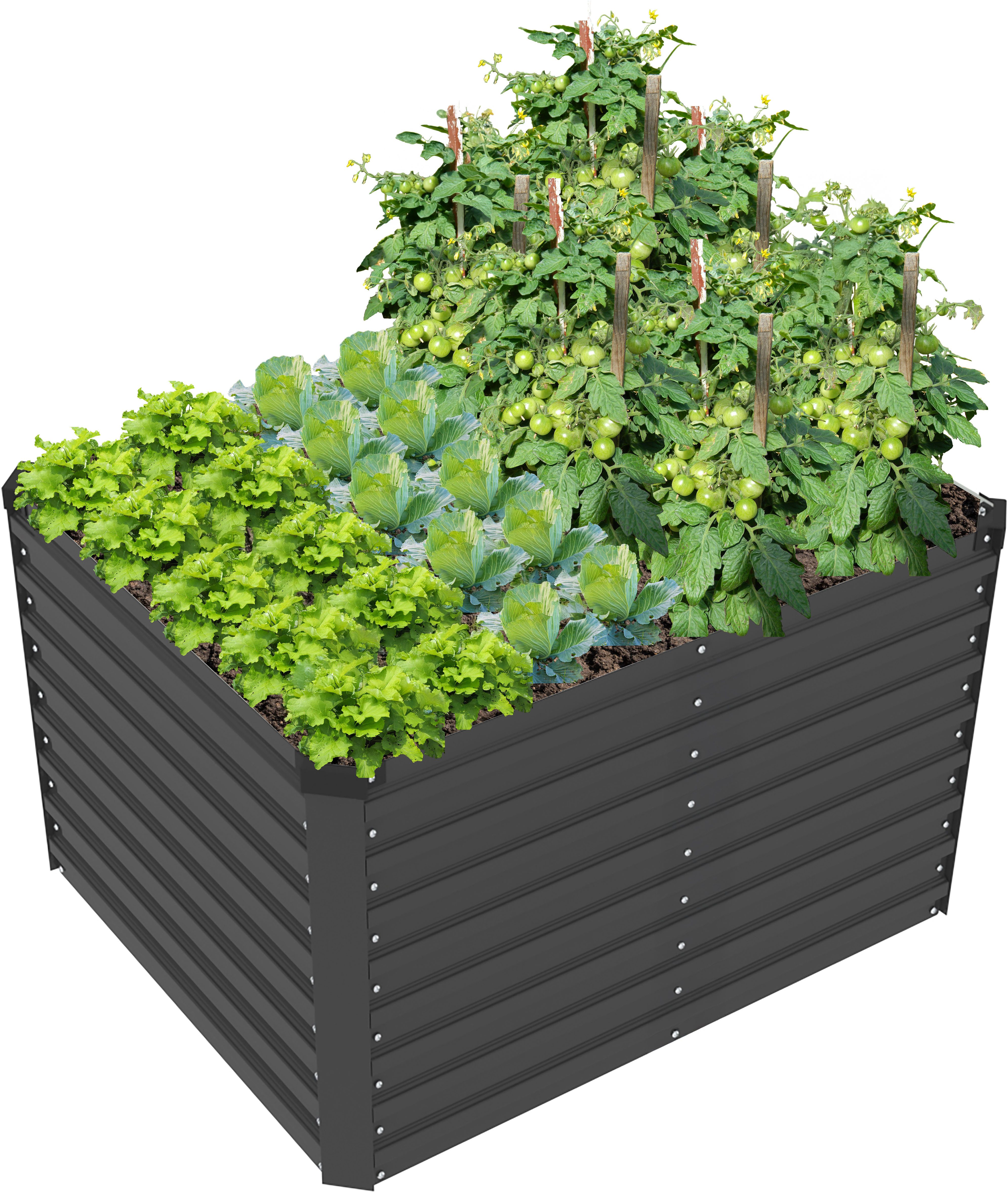 Hochbeet Emmy, bodenloses Gartenbeet aus verzinktem Stahl