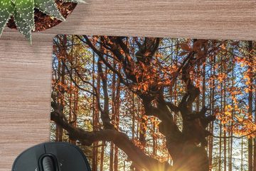 MuchoWow Gaming Mauspad Herbst - Sonne - Baum (1-St), Mousepad mit Rutschfester Unterseite, Gaming, 40x40 cm, XXL, Großes