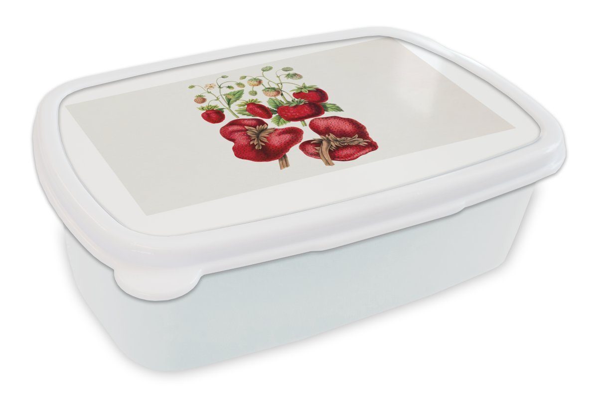 MuchoWow Lunchbox Erdbeeren - Obst - Pflanze, Kunststoff, (2-tlg), Brotbox für Kinder und Erwachsene, Brotdose, für Jungs und Mädchen weiß