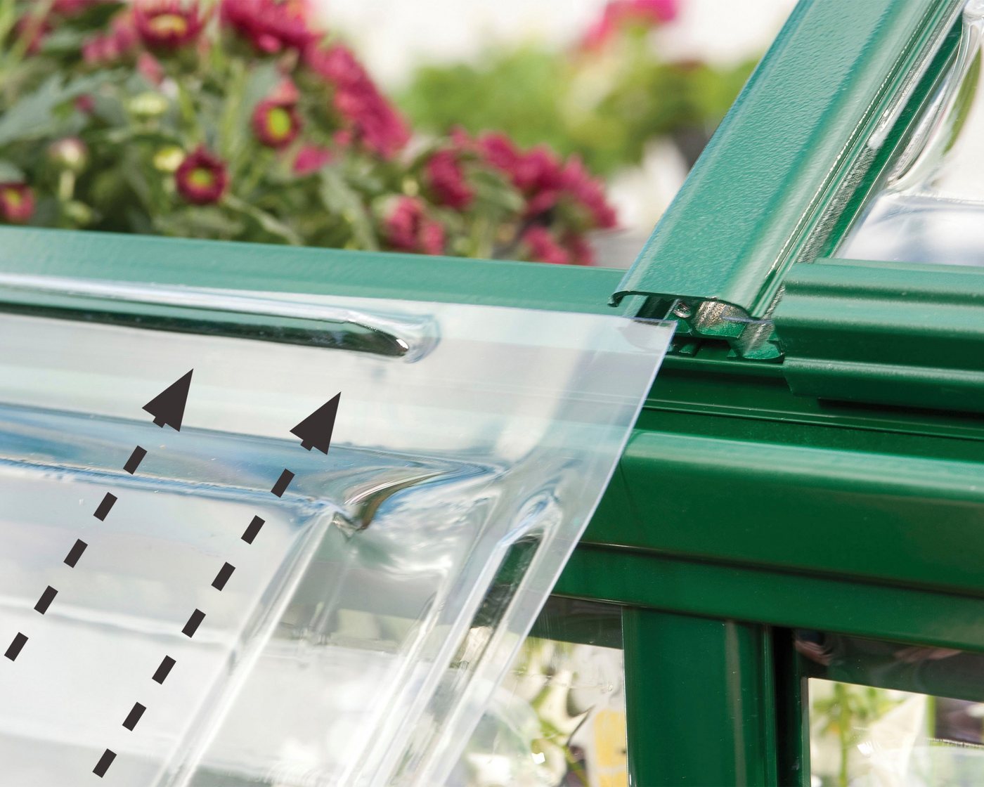 Palram - Canopia Gewächshaus Harmony, B... Palram - Canopia Gewächshaus Harmony, B...