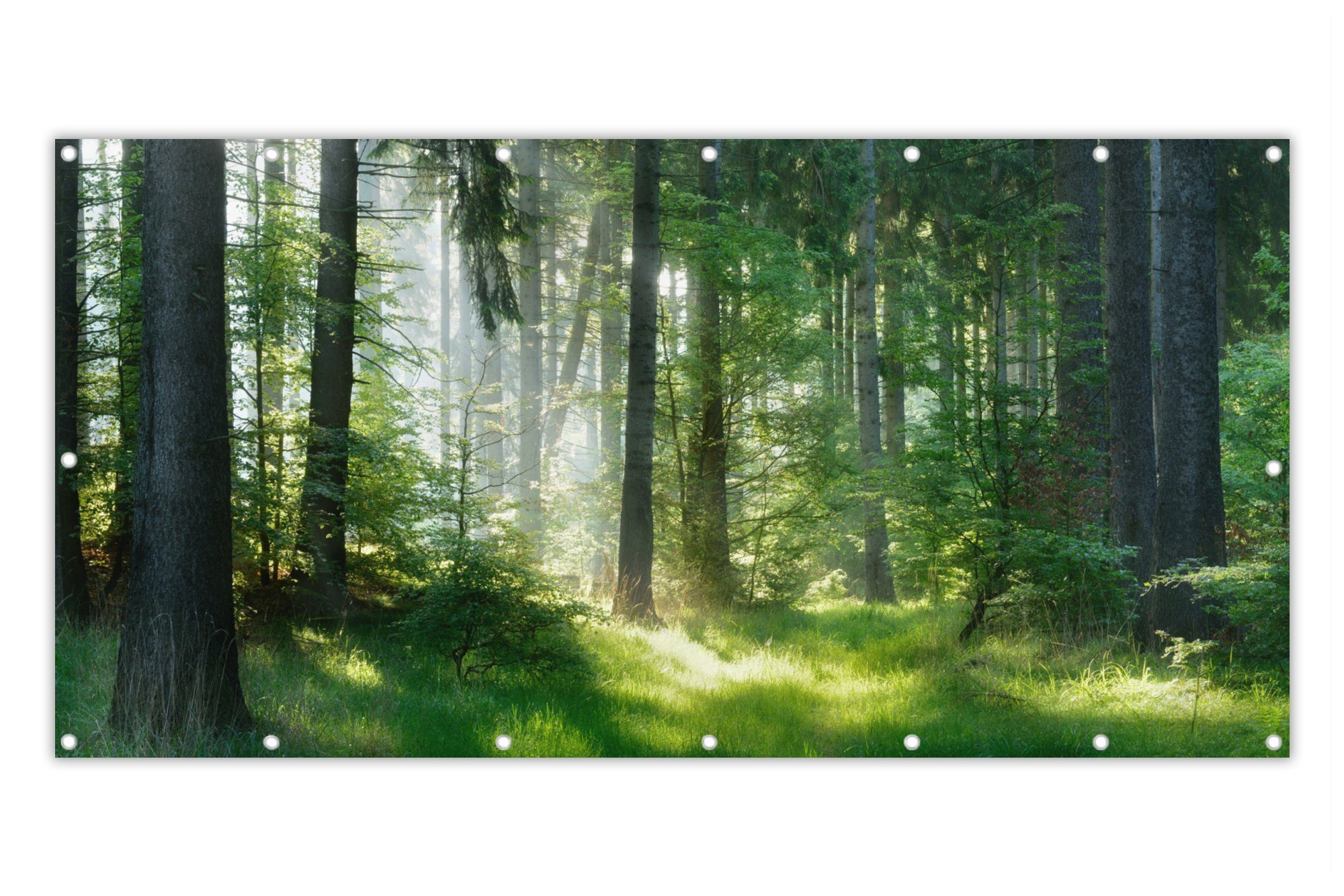 MuchoWow Balkonsichtschutz Natur Bäume Wald Grün Sonne Gras
