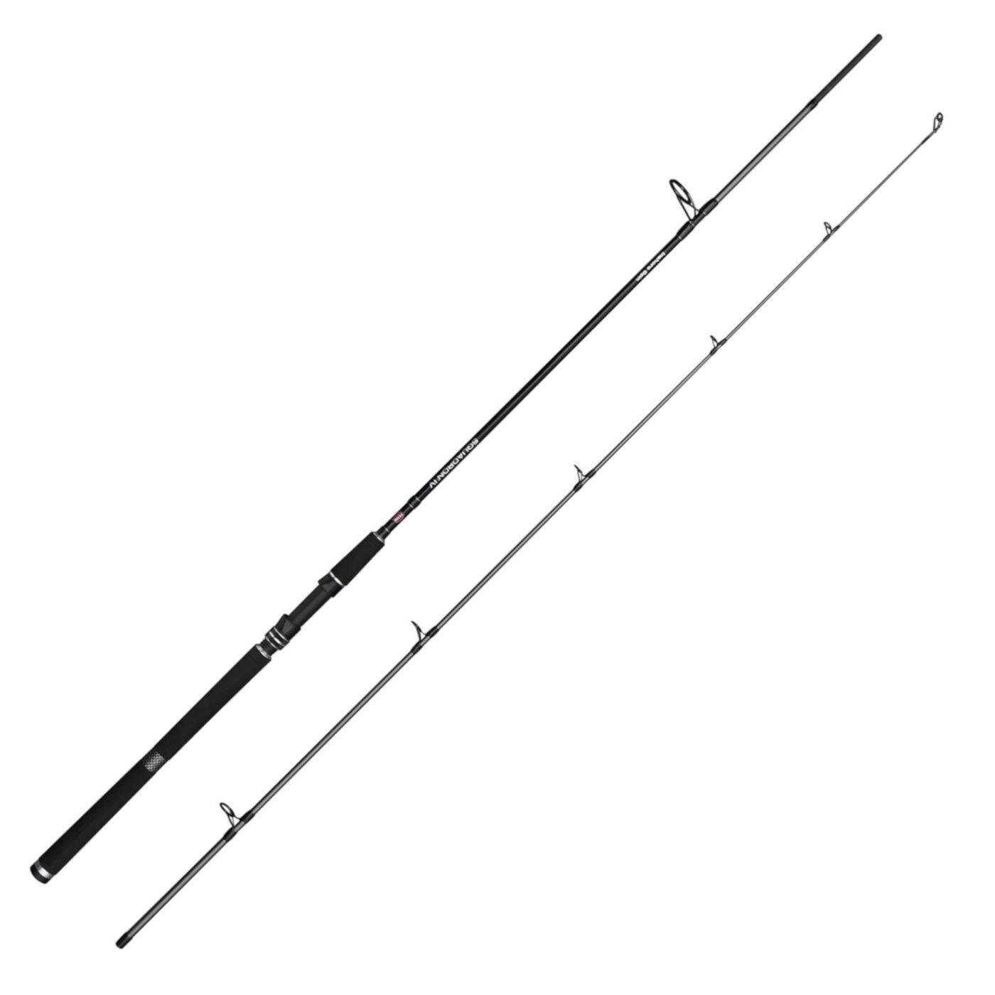 Spinnrute Penn Squadron Iv Sw Spin 300Cm 2P 20-60G