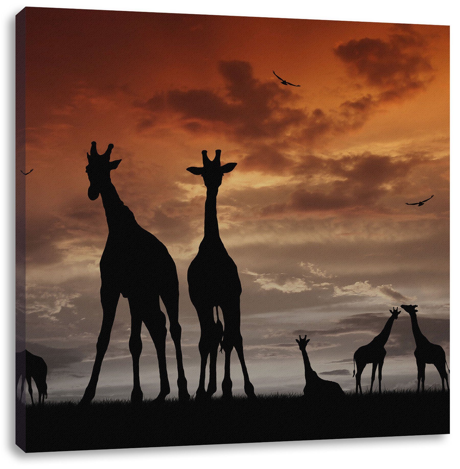 Leinwandbild Afrika Giraffen im Sonnenuntergang