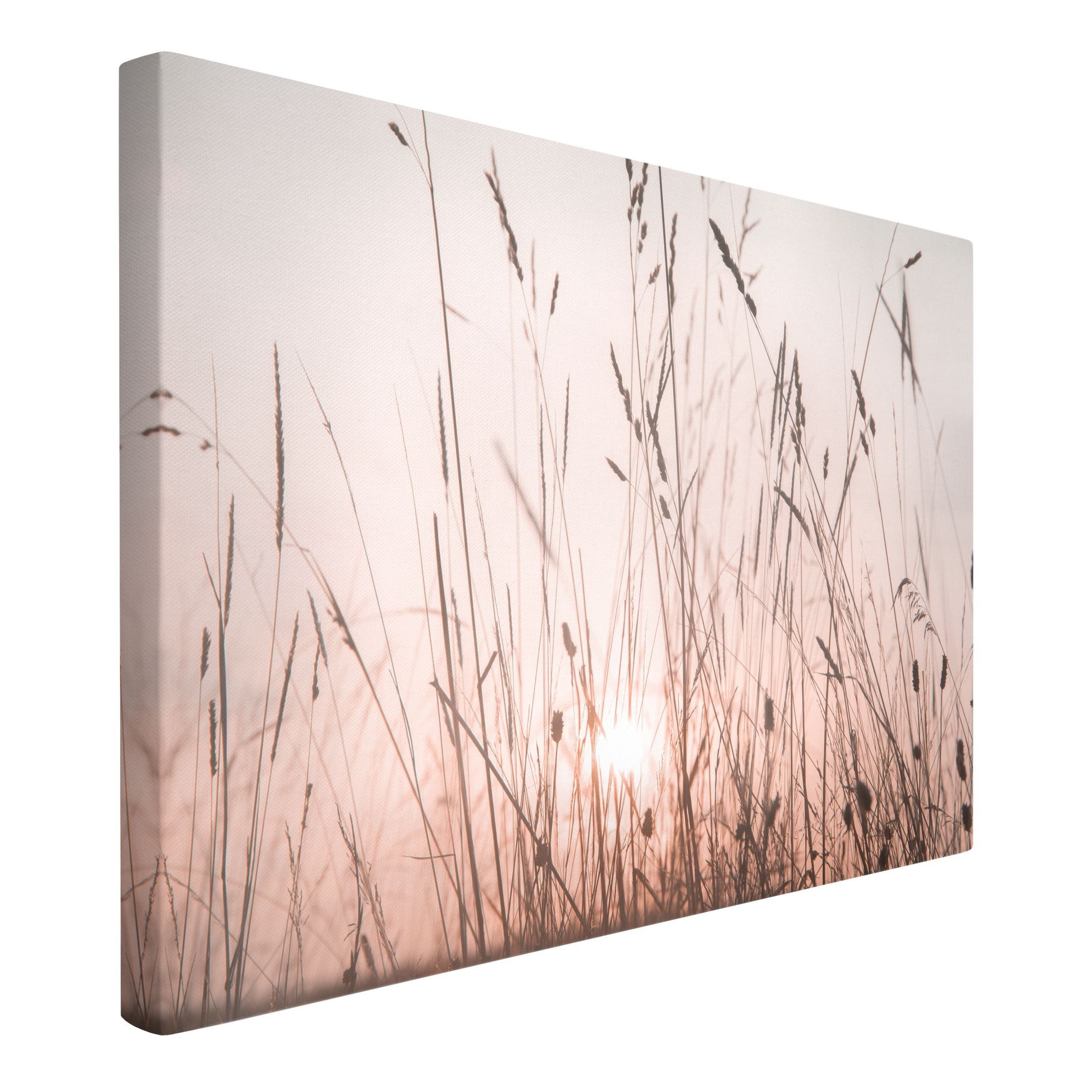 Bilderdepot24 Leinwandbild Kunstdruck Sommerabend creme beige günstig online kaufen